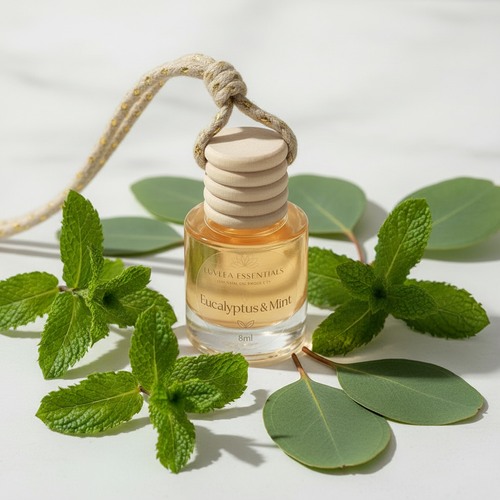 Eucalyptus & Mint - Overhead Angle